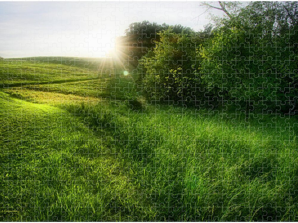 Late Day Jigsaw Puzzle featuring the photograph Late Day Sunburst, Hill and Meadow, Montgomery County, Pennsylva by A Macarthur Gurmankin