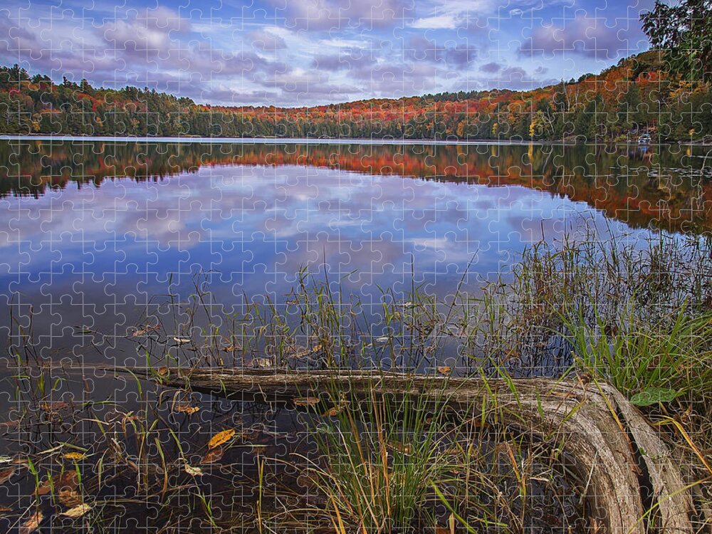 Vermont Jigsaw Puzzle featuring the photograph Late Fall Reflections by John Vose