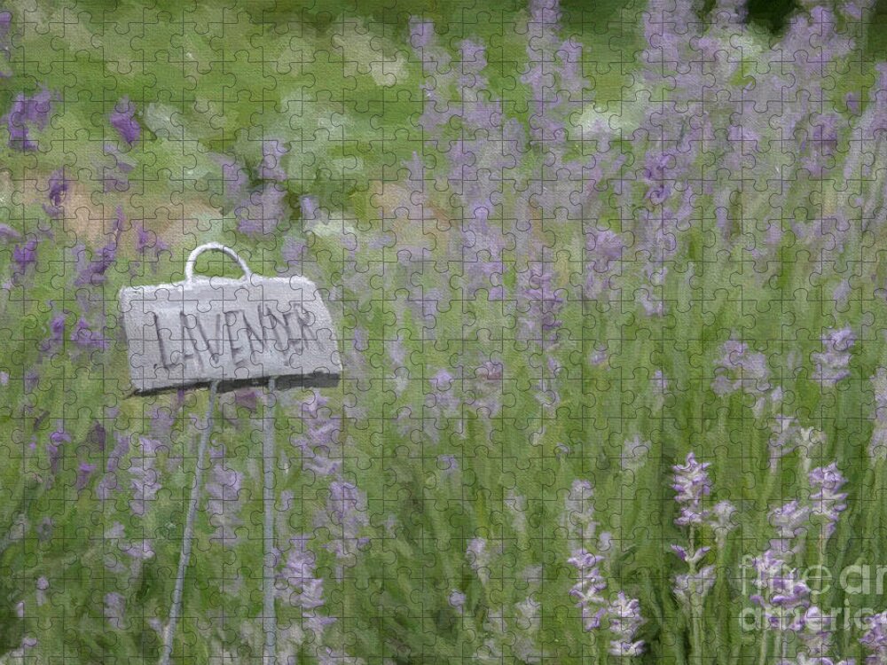 Lavender Jigsaw Puzzle featuring the digital art Lavender by Jayne Carney