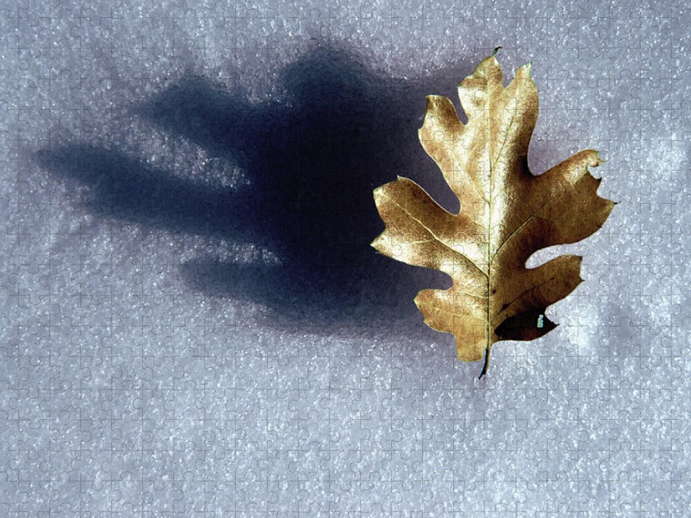 Photography Jigsaw Puzzle featuring the photograph Leaf on Snow by Paul Wear