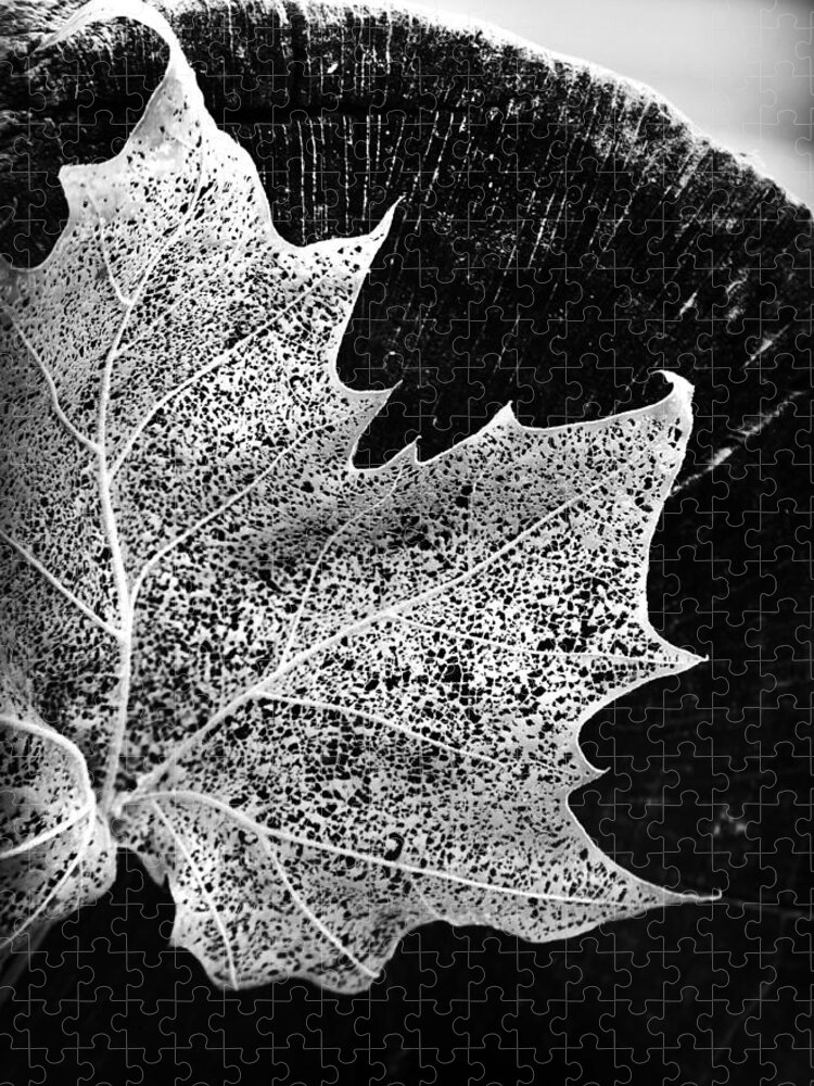 Kelly Hazel Jigsaw Puzzle featuring the photograph Leaf on Log in Black and White High Contrast by Kelly Hazel