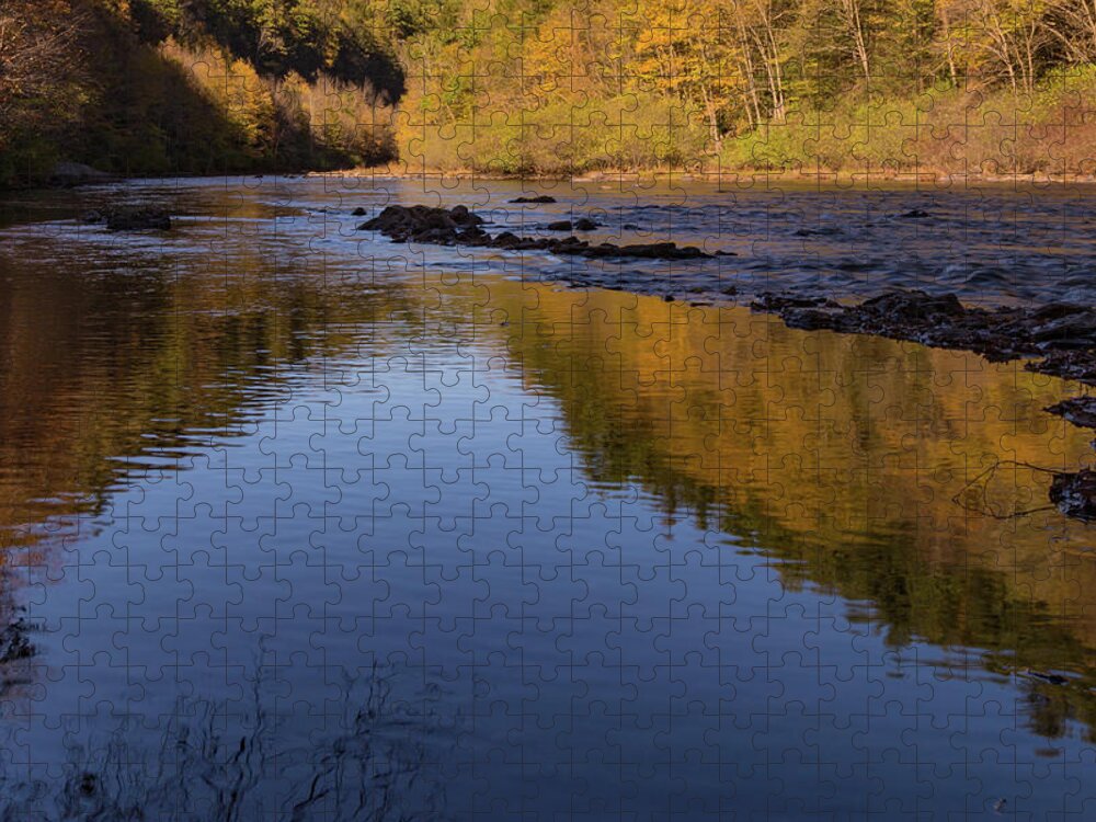 Lehigh River Jigsaw Puzzle featuring the photograph Lehigh River Reflection by Joe Kopp