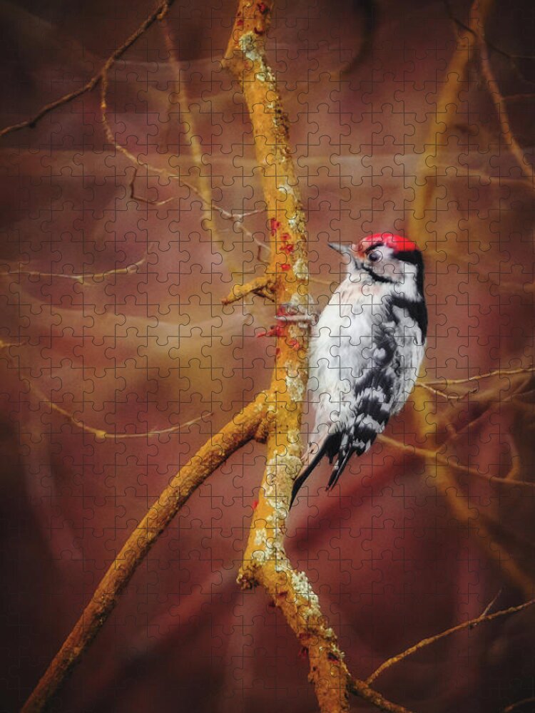 Lesser Spotted Woodpecker Jigsaw Puzzle featuring the photograph Lesser Spotted Woodpecker - Dryobates minor by Marc Braner