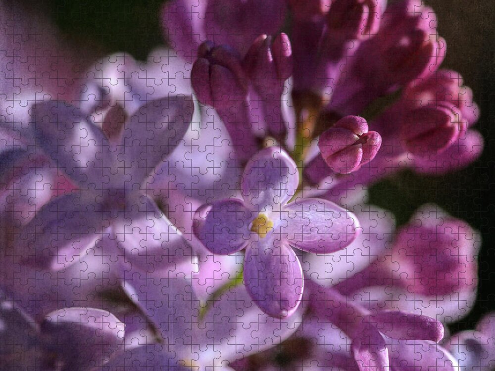 Lilacs Jigsaw Puzzle featuring the photograph Lilacs by Tamara Becker