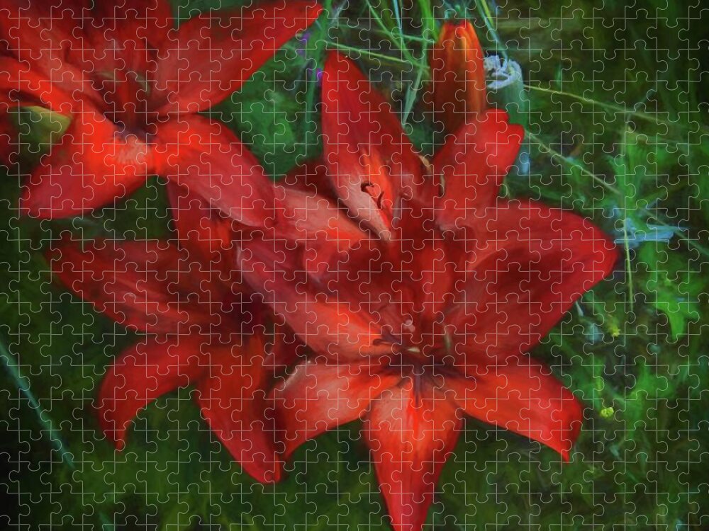 Flower Jigsaw Puzzle featuring the photograph Lily Light by Kathy Bassett