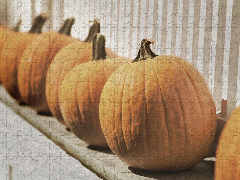Pumpkins Jigsaw Puzzle featuring the photograph Line of Pumpkins by David Smith