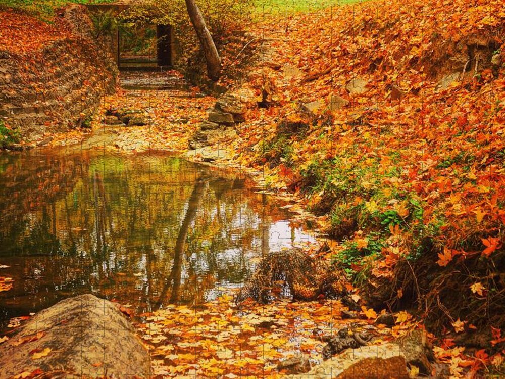  Jigsaw Puzzle featuring the photograph Lineberger Park 6 by Rodney Lee Williams