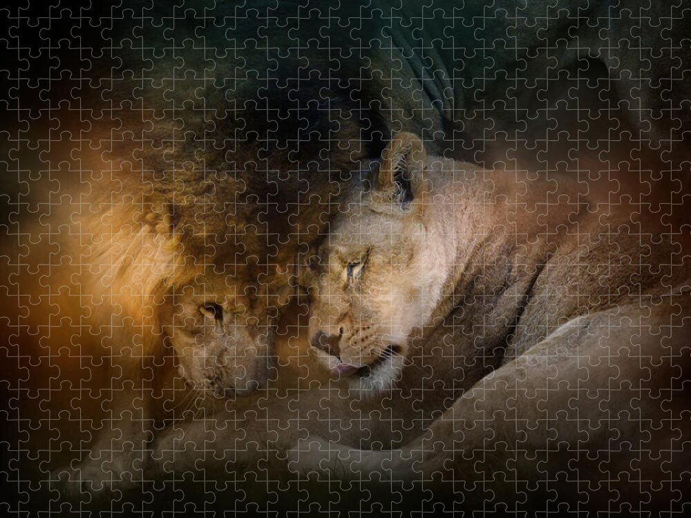 Jai Johnson Jigsaw Puzzle featuring the photograph Lion Love by Jai Johnson