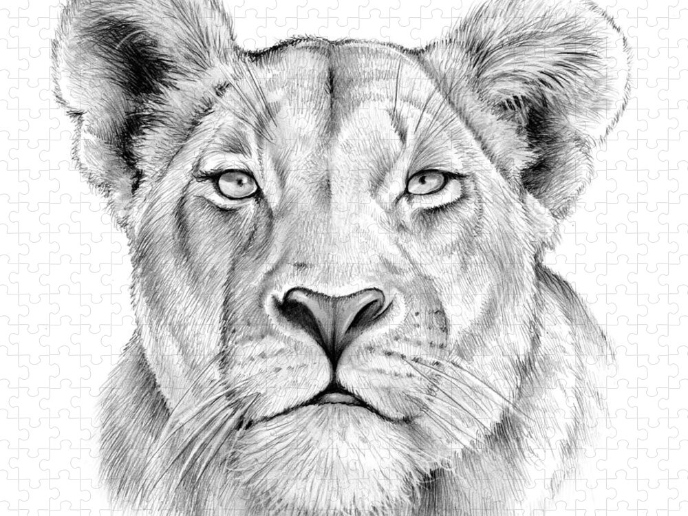 Animal Jigsaw Puzzle featuring the drawing Lioness by Greg Joens