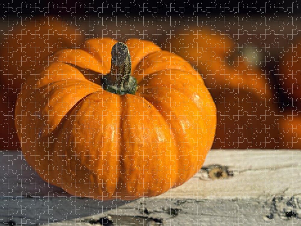 Skompski Jigsaw Puzzle featuring the photograph Little Pumpkin by Joseph Skompski