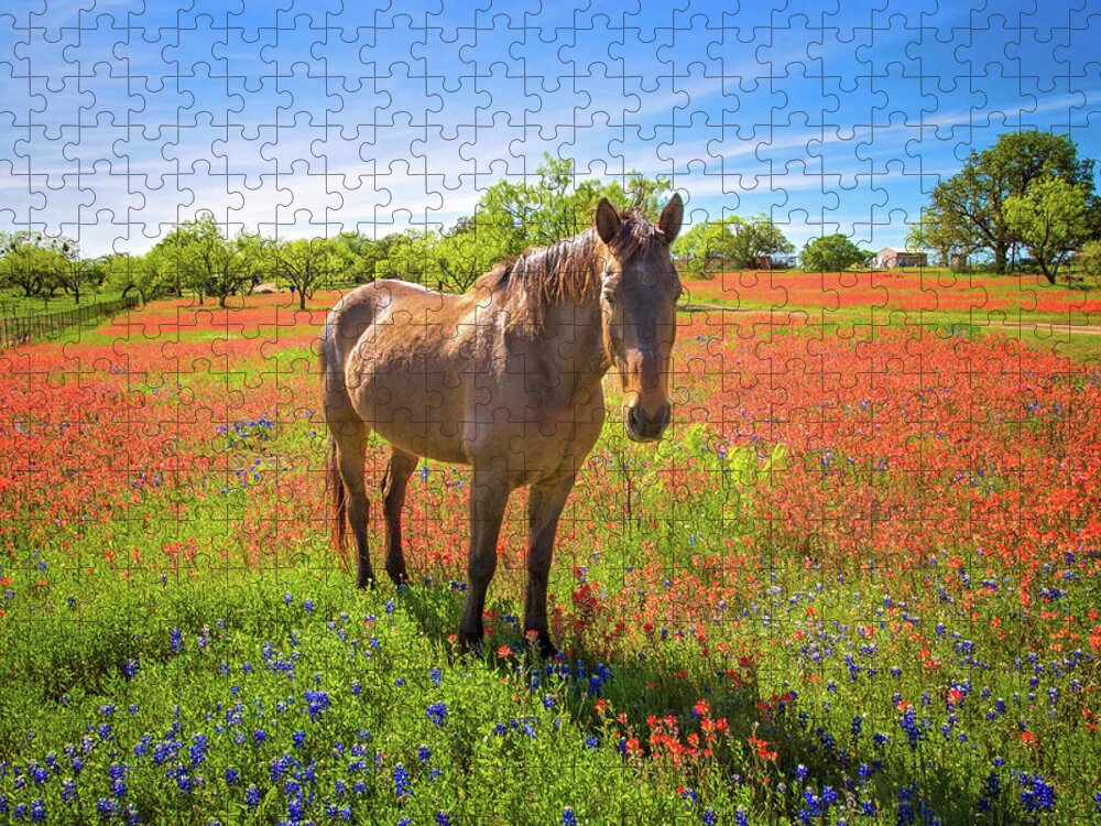 Texas Hill Country Jigsaw Puzzle featuring the photograph Living in the Land of Oz by Lynn Bauer