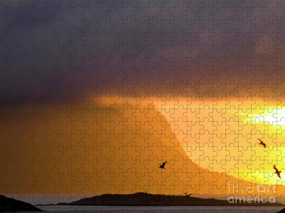 Weather Jigsaw Puzzle featuring the photograph Lofoten island after the storm by Heiko Koehrer-Wagner