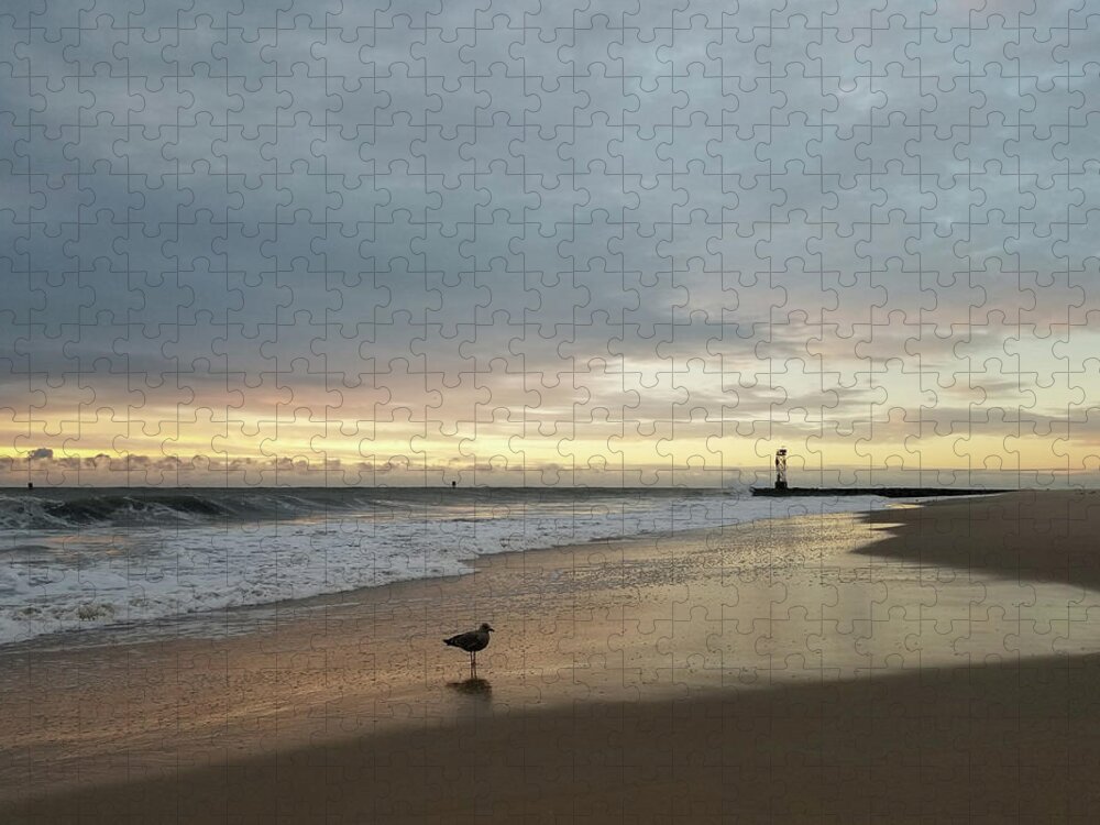 Bird Jigsaw Puzzle featuring the photograph Lone Gull At Dawn by Robert Banach