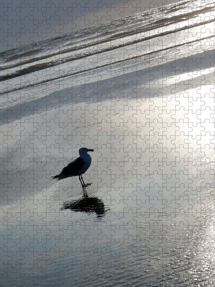Seagull Jigsaw Puzzle featuring the photograph Lone Gull by John Winner