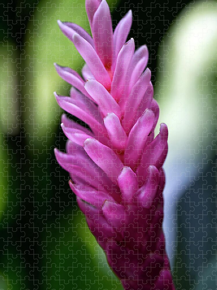Granger Photography Jigsaw Puzzle featuring the photograph Lone Pink Ginger by Brad Granger