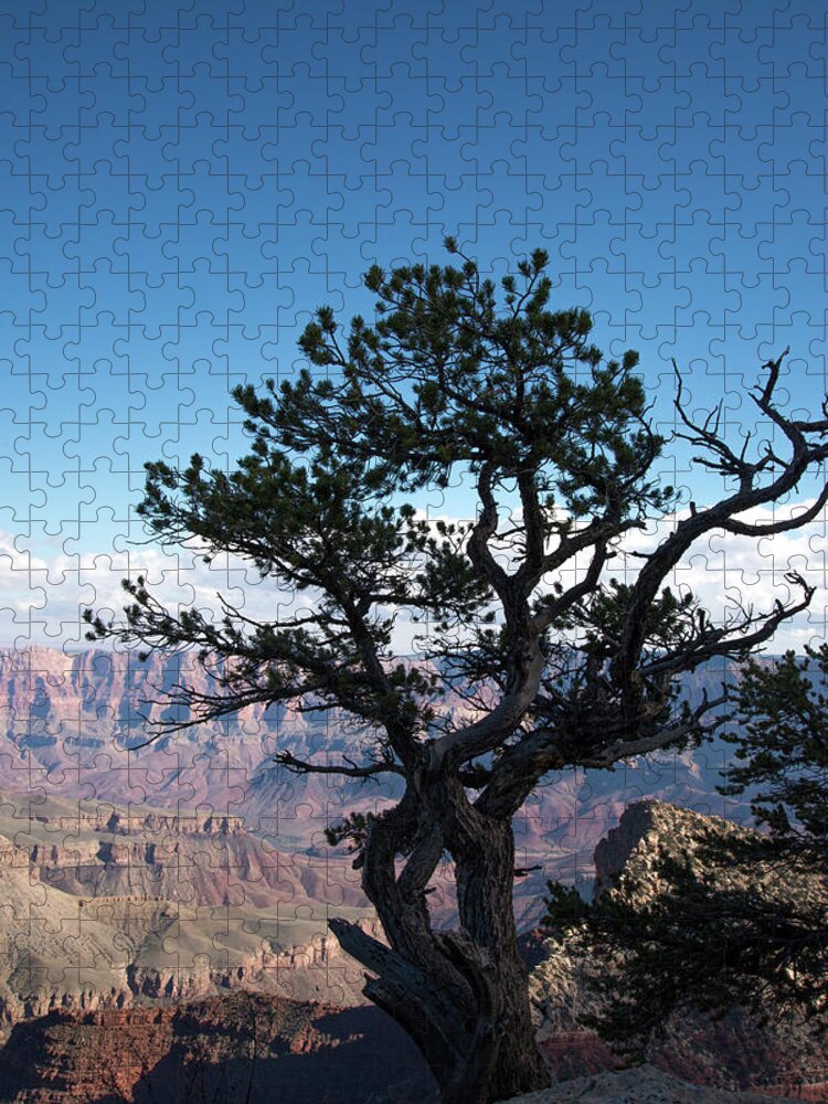 Grand Canyon National Park Jigsaw Puzzle featuring the photograph Lone Tree 2 by Frank Madia