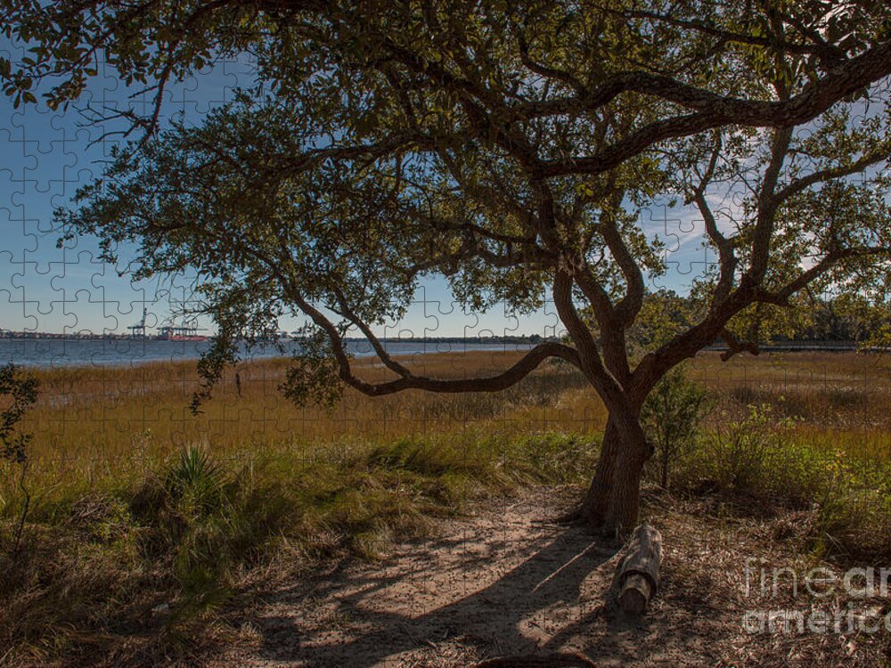 Daniel Island Jigsaw Puzzle featuring the photograph Lone Tree by Dale Powell