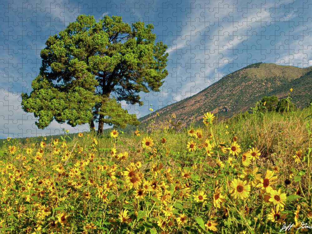 Arizona Jigsaw Puzzle featuring the photograph Lone Tree in a Sunflower Field by Jeff Goulden