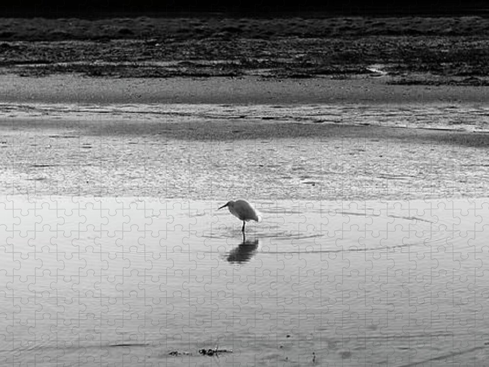 Lonely Jigsaw Puzzle featuring the photograph Lonely Heron by Nicholas Burningham