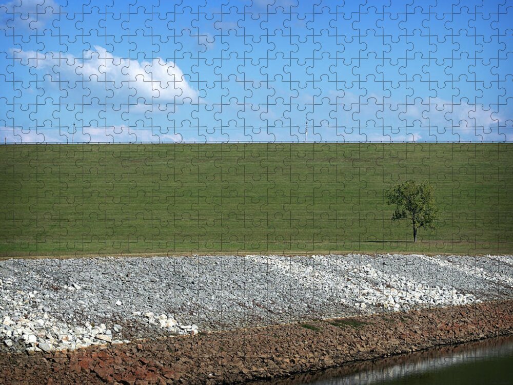 Lonely Jigsaw Puzzle featuring the photograph Lonely Tree by Amber Flowers