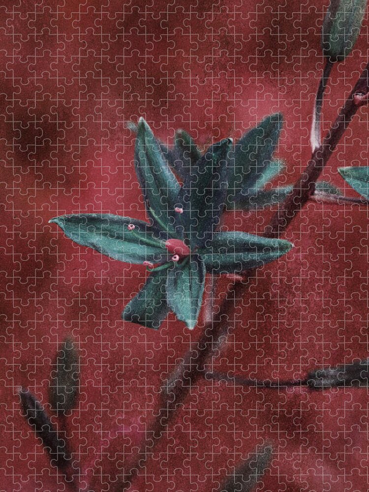 Textured Jigsaw Puzzle featuring the photograph Lost Among Weeds by Bonnie Bruno
