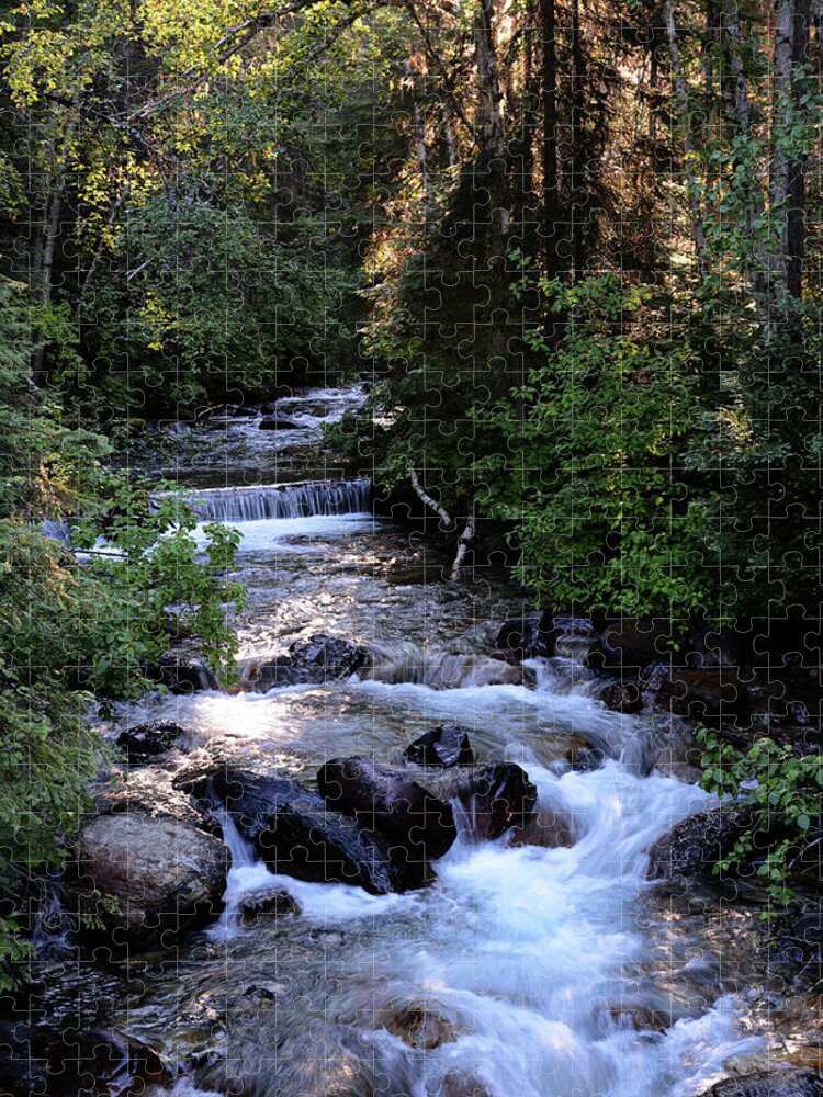 Lost Creek Jigsaw Puzzle featuring the photograph Lost Creek by Whispering Peaks Photography