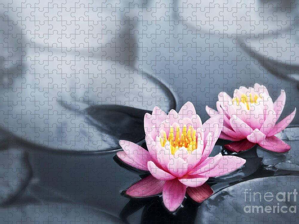 Blossoms Jigsaw Puzzle featuring the photograph Lotus blossoms by Elena Elisseeva