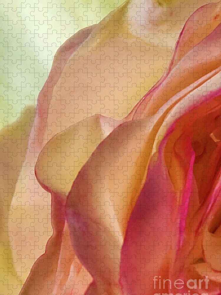 Roses Jigsaw Puzzle featuring the photograph Lovely Yellow Rose Aging Vertical by David Zanzinger