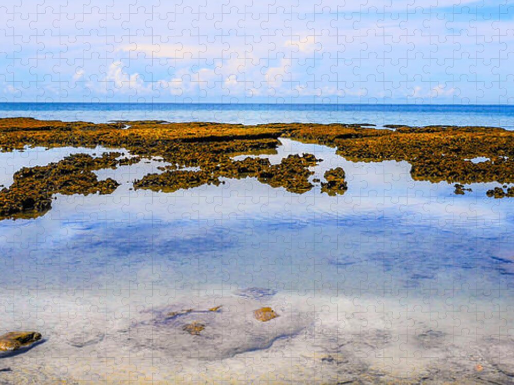 Tropical Queensland Series By Lexa Harpell. Tropical Queensland Jigsaw Puzzle featuring the photograph Low Tide - Cape Tribulation - Far North Queensland, Australia by Lexa Harpell