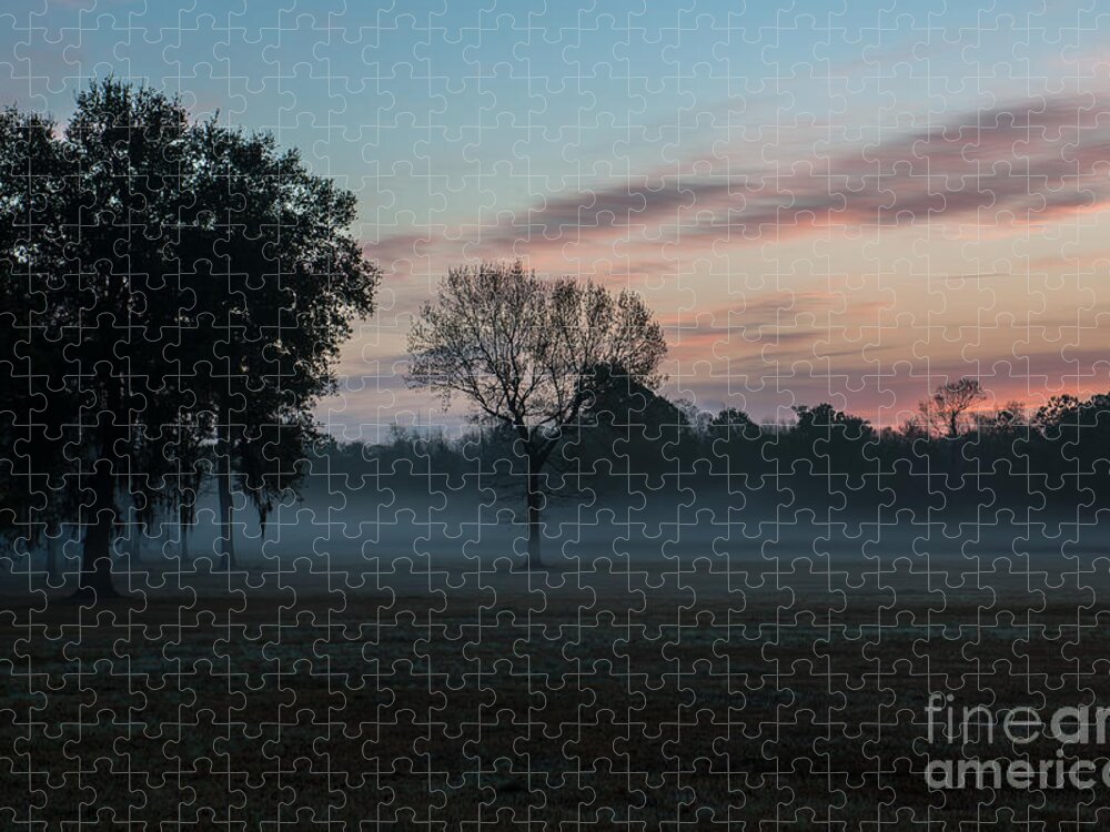 Make A Wish Jigsaw Puzzle by Dale Powell - Pixels Puzzles