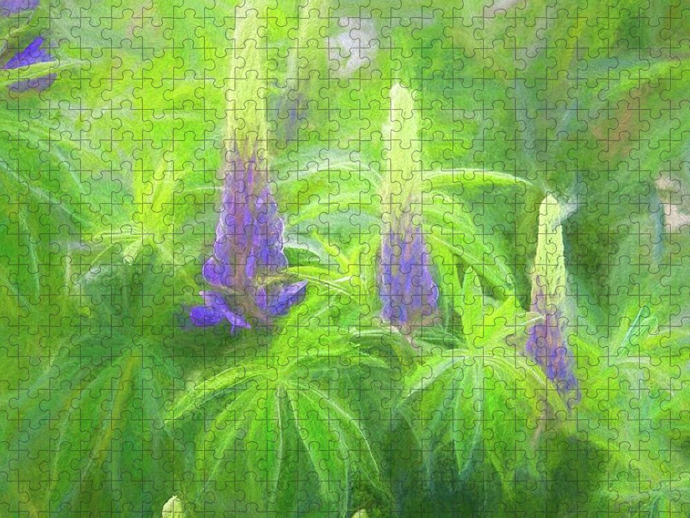 Flora Jigsaw Puzzle featuring the photograph Lupine Light by Kathy Bassett