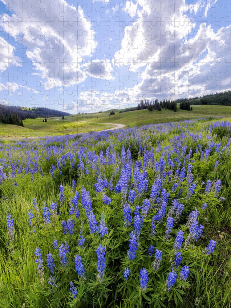 Lupine Pass Jigsaw Puzzle featuring the photograph Lupine Pass by Chad Dutson