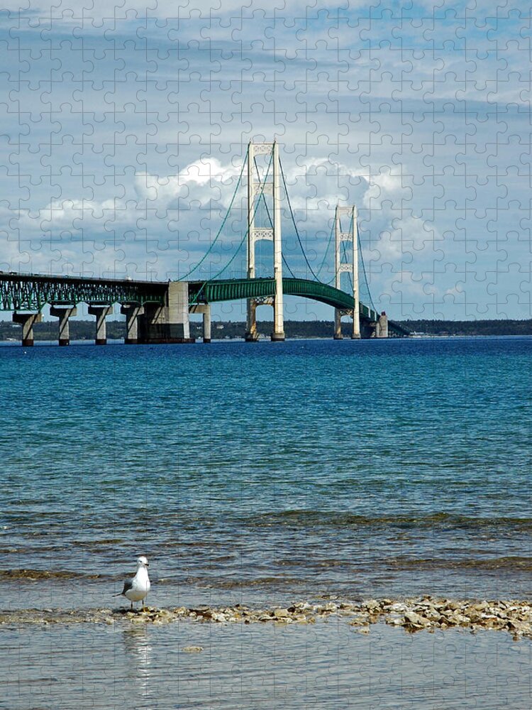 Usa Jigsaw Puzzle featuring the photograph Mackinac Bridge with Seagull by LeeAnn McLaneGoetz McLaneGoetzStudioLLCcom