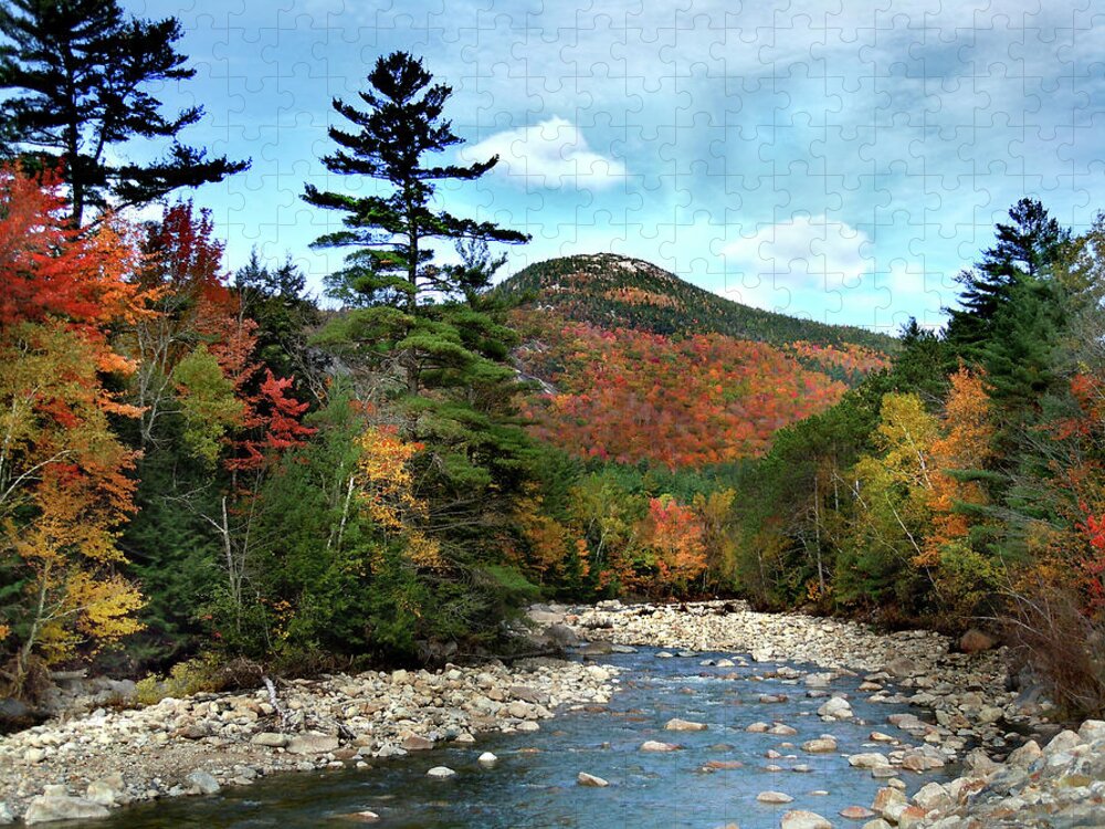 Autumn Jigsaw Puzzle featuring the photograph Mad River by Welch and Dickey by Nancy Griswold