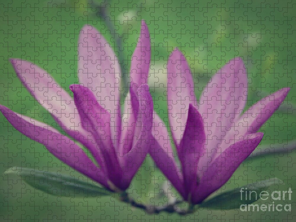  Jigsaw Puzzle featuring the photograph Magnolia Liliiflora by Janice Pariza