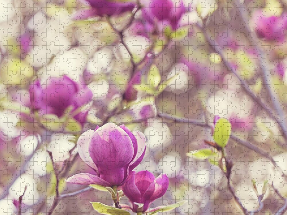 Magnolia Jigsaw Puzzle featuring the photograph Magnolia by Melanie Alexandra Price