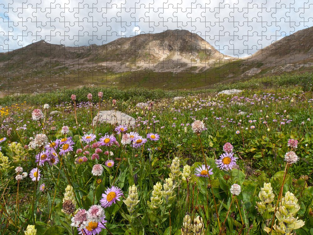 Summer Jigsaw Puzzle featuring the photograph Majestic Colorado Alpine Meadow by Cascade Colors