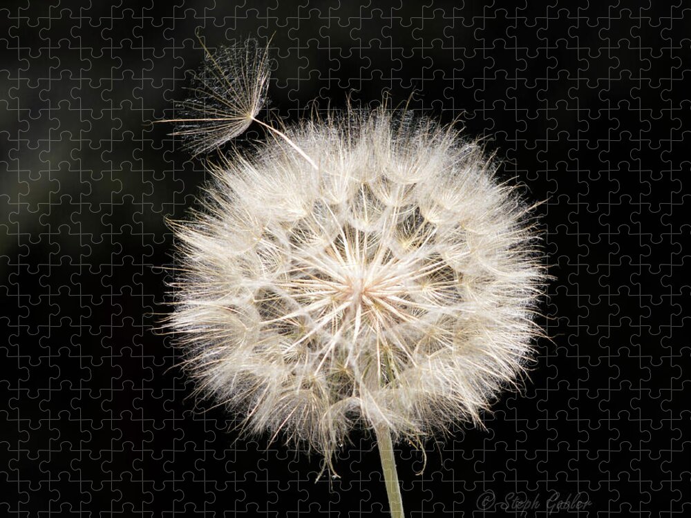 Flower Jigsaw Puzzle featuring the photograph Make a Wish by Steph Gabler