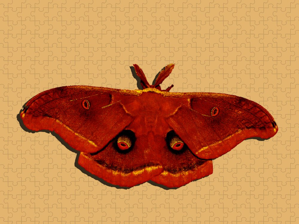 Polyphemus Moth Jigsaw Puzzle featuring the photograph Male Moth Red .png by Al Powell Photography USA