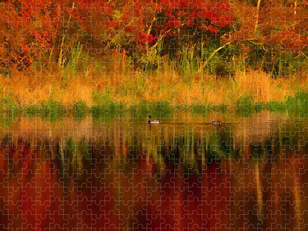 #jefffolger Jigsaw Puzzle featuring the photograph Mallards through reflection of fall colors by Jeff Folger