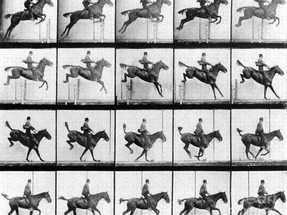 Muybridge Jigsaw Puzzle featuring the photograph Man and Horse jumping by Eadweard Muybridge
