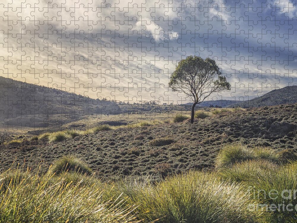 Kremsdorf Jigsaw Puzzle featuring the photograph March Across The Endless Plain by Evelina Kremsdorf