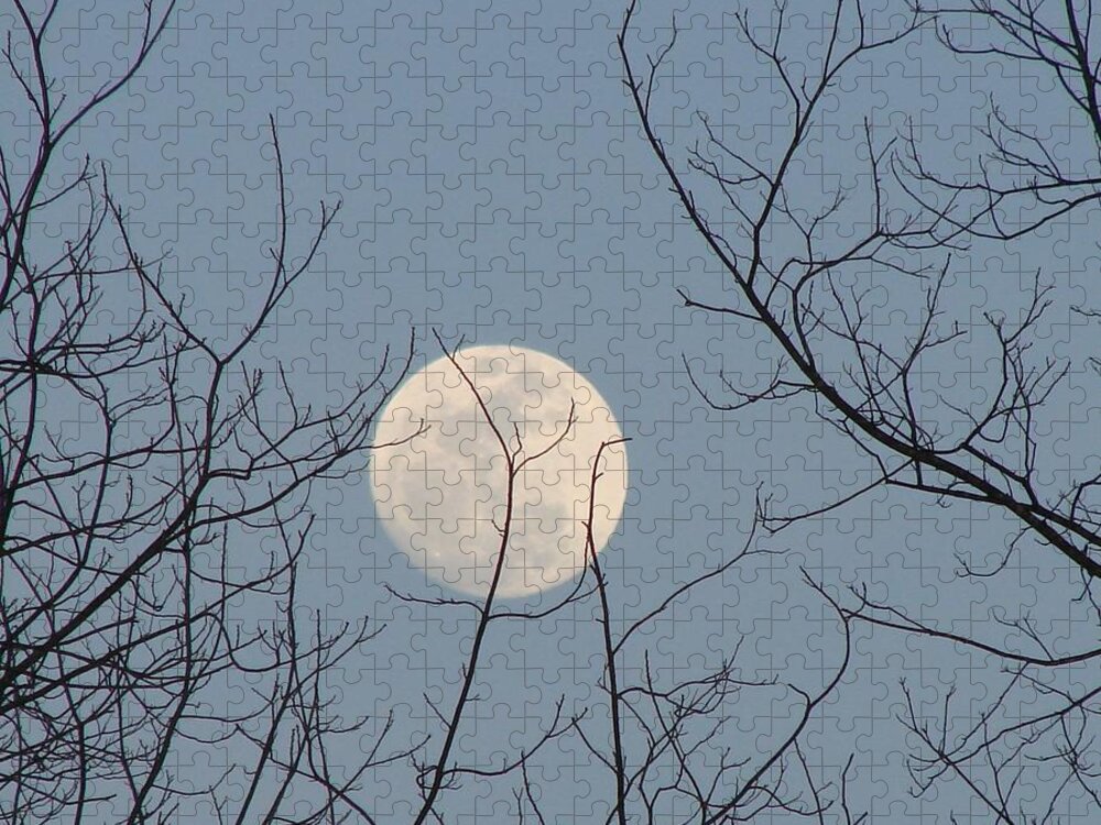 Moon Jigsaw Puzzle featuring the photograph March Moon by Liz Vernand