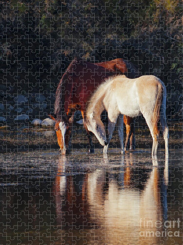 Salt River Wild Horse Horses Jigsaw Puzzle featuring the photograph Mare And Colt Reflection by Jerry Cowart