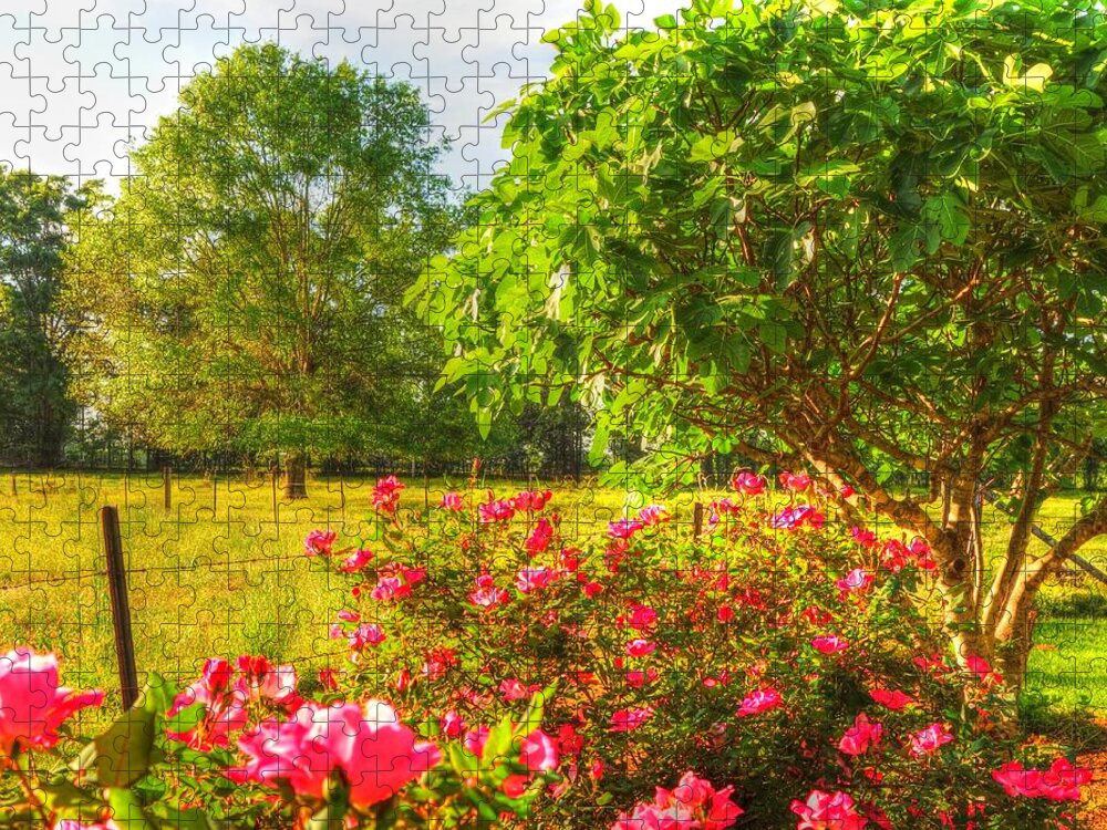 Roses Jigsaw Puzzle featuring the photograph Marie's Roses by Lanita Williams