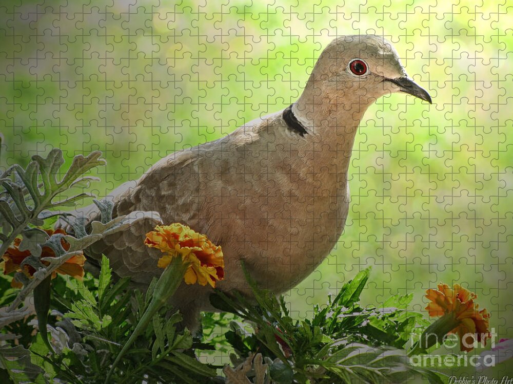 Dove Jigsaw Puzzle featuring the photograph Marigold Dove by Debbie Portwood