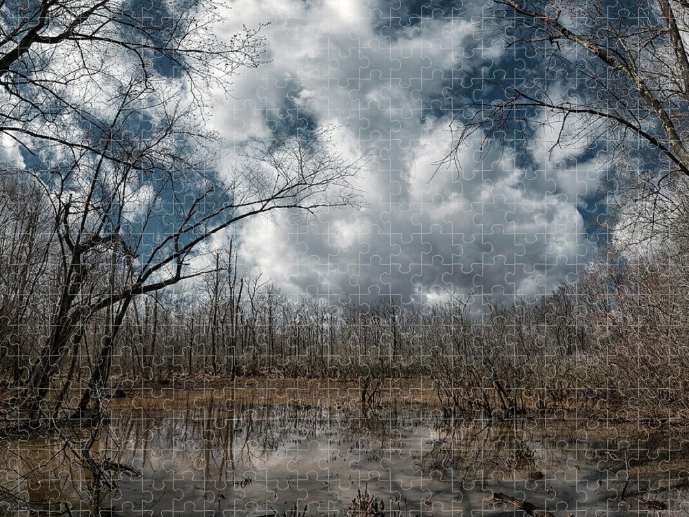 Maryland Jigsaw Puzzle featuring the photograph Maryland Swamp by Robert Fawcett