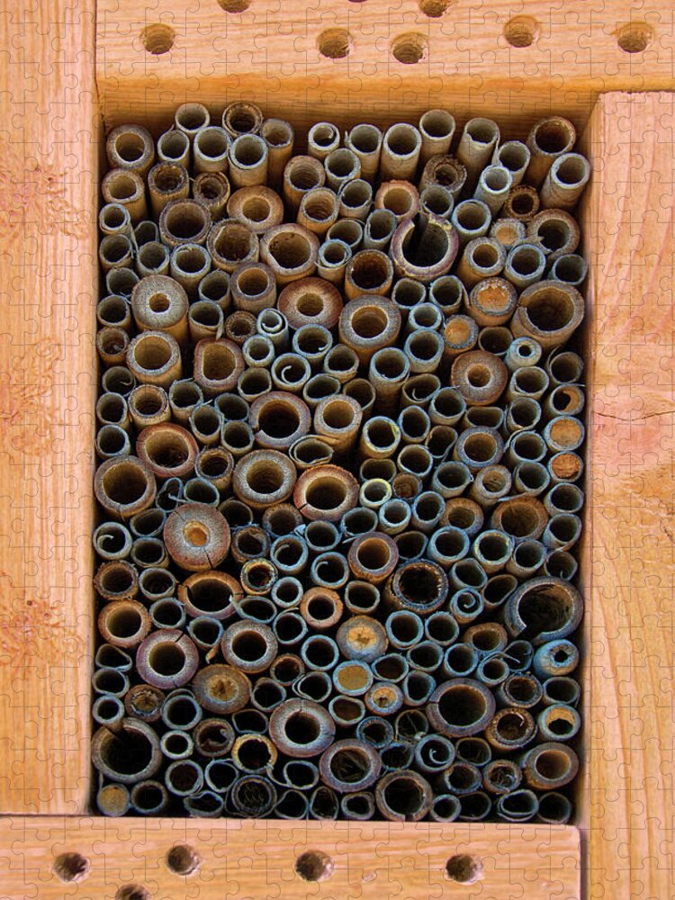 Bee Jigsaw Puzzle featuring the photograph Mason Bee House by Mitch Spence