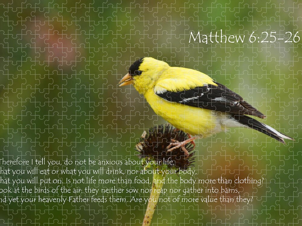 Matthew 6:25-26 Jigsaw Puzzle featuring the photograph Matthew 6 by Alan Hutchins