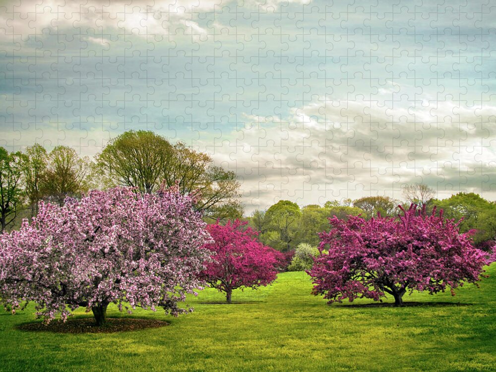 Spring Jigsaw Puzzle featuring the photograph May Meadow by Jessica Jenney